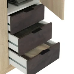 Hot Muebles1Click Armario 3p +3c roble - óxido